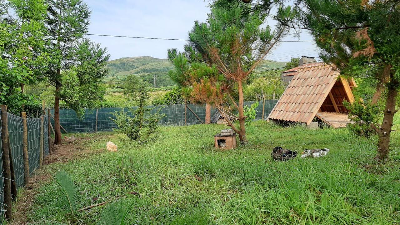 Quinta Das Primas Lomba  Dış mekan fotoğraf